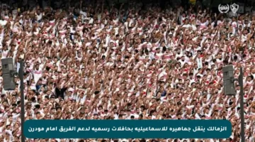 الزمالك ينقل جماهيره للإسماعيلية بحافلات رسمية لدعم الفريق أمام مودرن